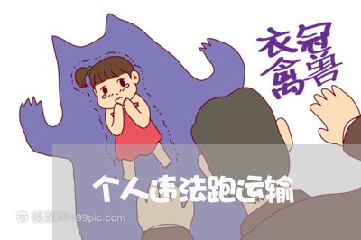 个人违法跑运输 个人违法跑运输