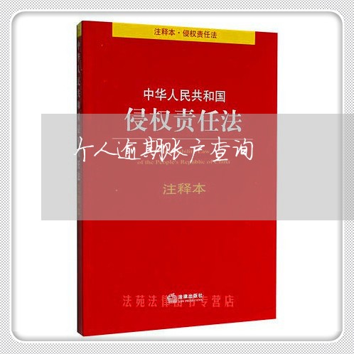 个人逾期账户查询