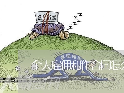 个人雇佣和作合同怎么写/2023040970594