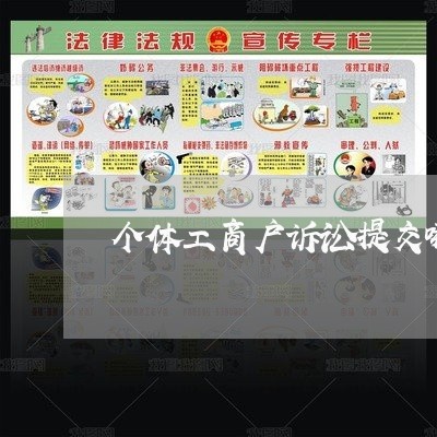 个体工商户诉讼提交哪些材料