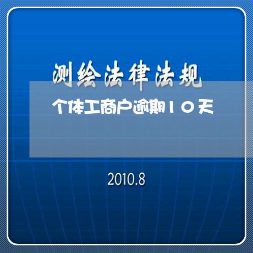 个体工商户逾期10天/2023102617361