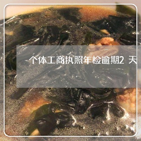 个体工商执照年检逾期2天/2023042391626