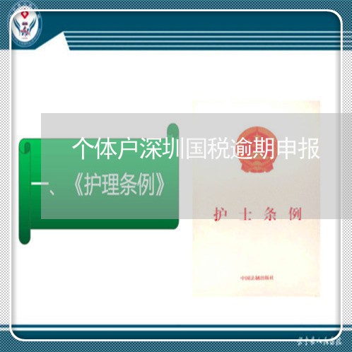 个体户深圳国税逾期申报 个体户深圳国税逾期申报