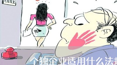 个独企业适用什么法规