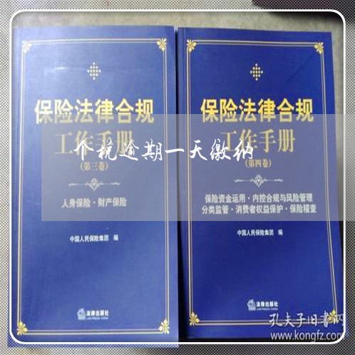 个税逾期一天缴纳