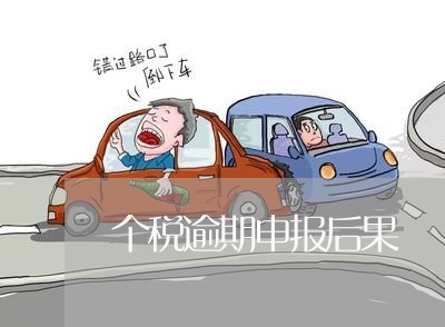 个税逾期申报后果