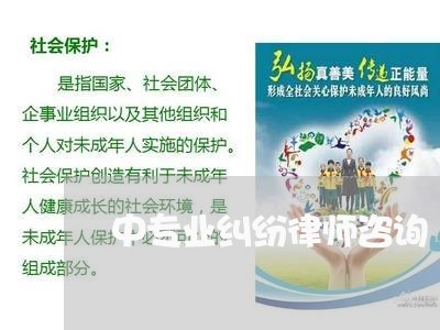中专业纠纷律师咨询