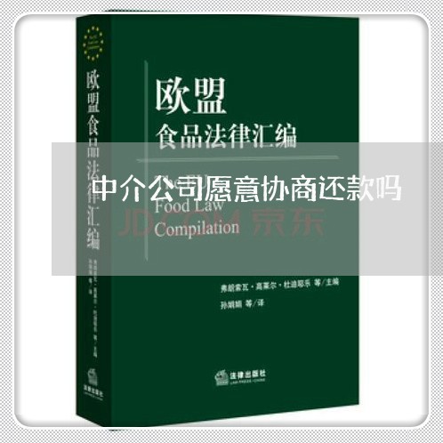 中介公司愿意协商还款吗/2023110817370