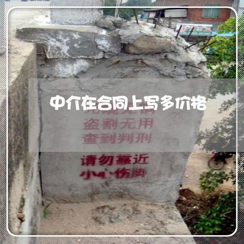 中介在合同上写多价格/2023011628158 中介在合同上写多价格/2023011628158