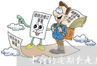中信的逾期费是怎么算的 中信的逾期费是怎么算的