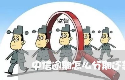 中信逾期怎么分期还款的 中信逾期怎么分期还款的