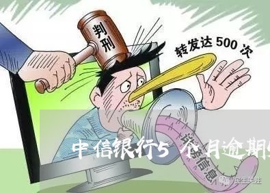 中信银行5个月逾期5万/2023022683926