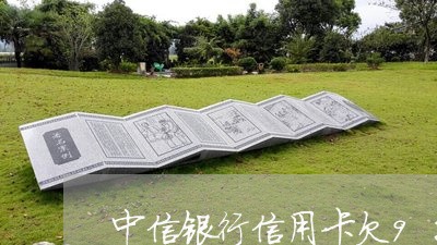 中信银行信用卡欠9千多 中信银行信用卡欠9千多