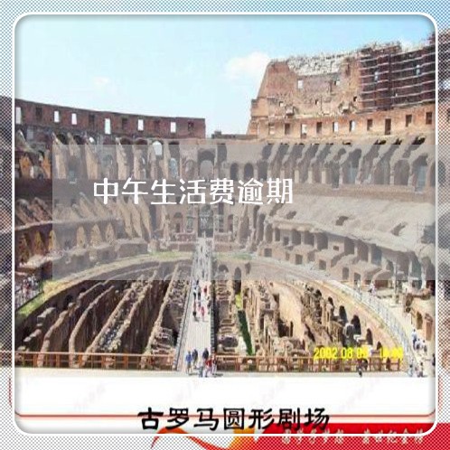 中午生活费逾期