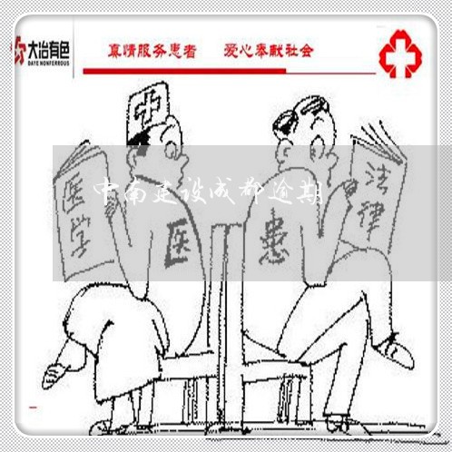 中南建设成都逾期/2023102450581