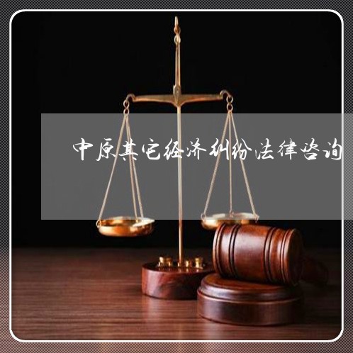 中原其它经济纠纷法律咨询