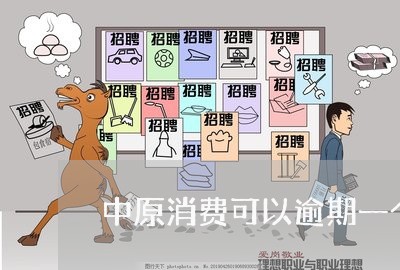 中原消费可以逾期一个月 中原消费可以逾期一个月