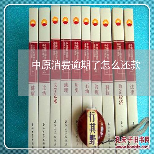 中原消费逾期了怎么还款 中原消费逾期了怎么还款