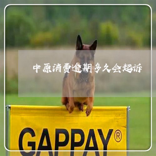 中原消费逾期多久会起诉 中原消费逾期多久会起诉