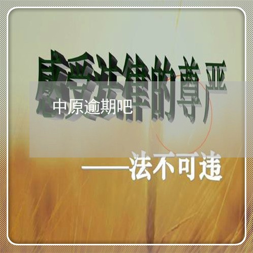 中原逾期吧