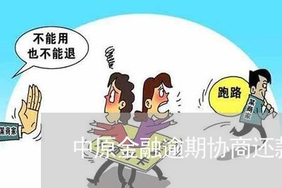 中原金融逾期协商还款流程/2023110762585