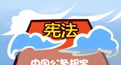 中国公务规定
