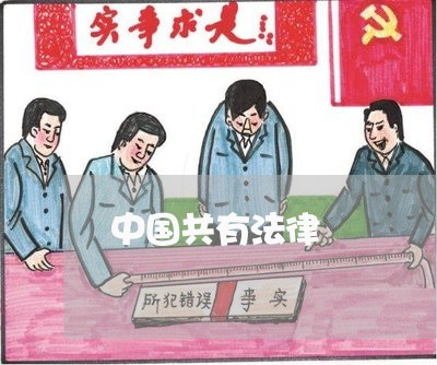 中国共有法律