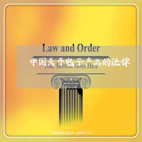 中国关于电子产品的法律 中国关于电子产品的法律
