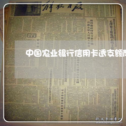 中国农业银行信用卡透支额度是多少钱 中国农业银行信用卡透支额度是多少钱