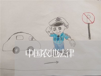 中国农地法律