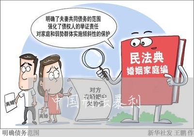 中国刑法暴利