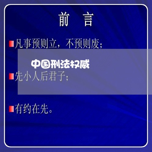 中国刑法权威 中国刑法权威