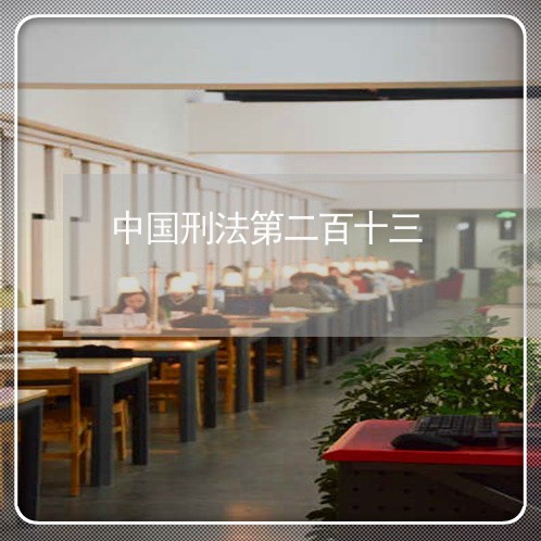 中国刑法第二百十三