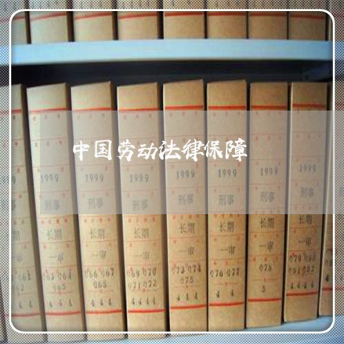 中国劳动法律保障 中国劳动法律保障
