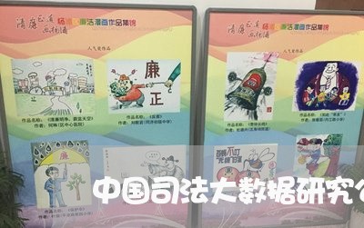 中国司法大数据研究公司