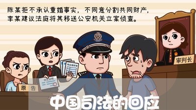 中国司法的回应