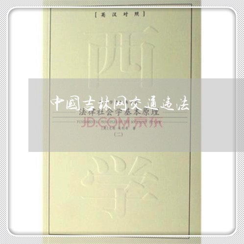 中国吉林网交通违法