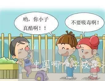 中国哪个学校学法律最好