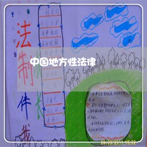 中国地方性法律