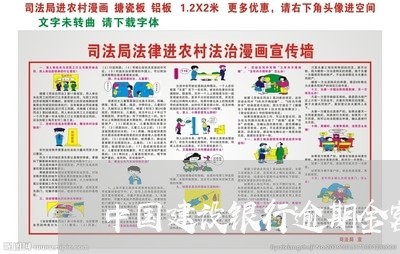 中国建设银行逾期金额/2023102795028