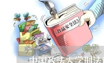 中国政法大学刑法边教授