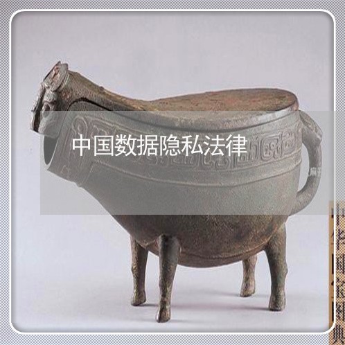 中国数据隐私法律 中国数据隐私法律