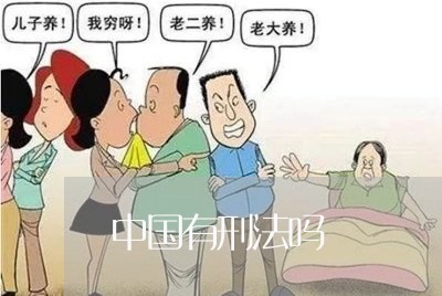 中国有刑法吗