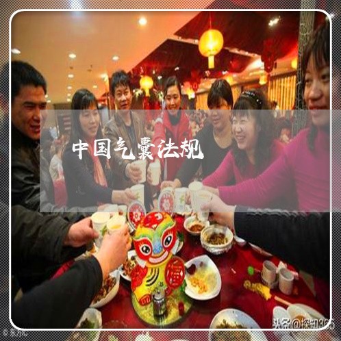 中国气囊法规