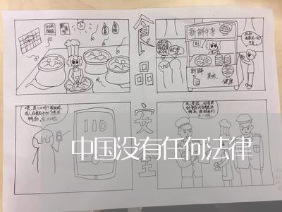 中国没有任何法律 中国没有任何法律