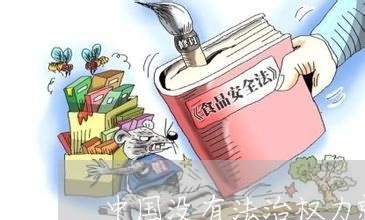 中国没有法治权力就是法律