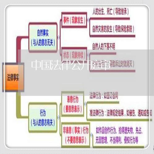 中国法律公开庭审
