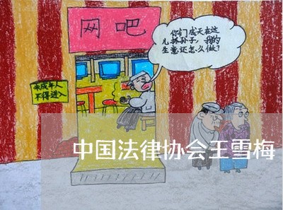 中国法律协会王雪梅 中国法律协会王雪梅