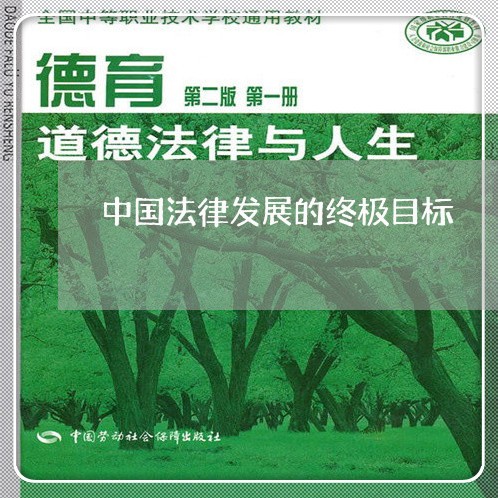 中国法律发展的终极目标