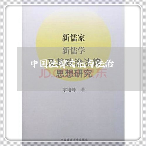 中国法律文化与法治